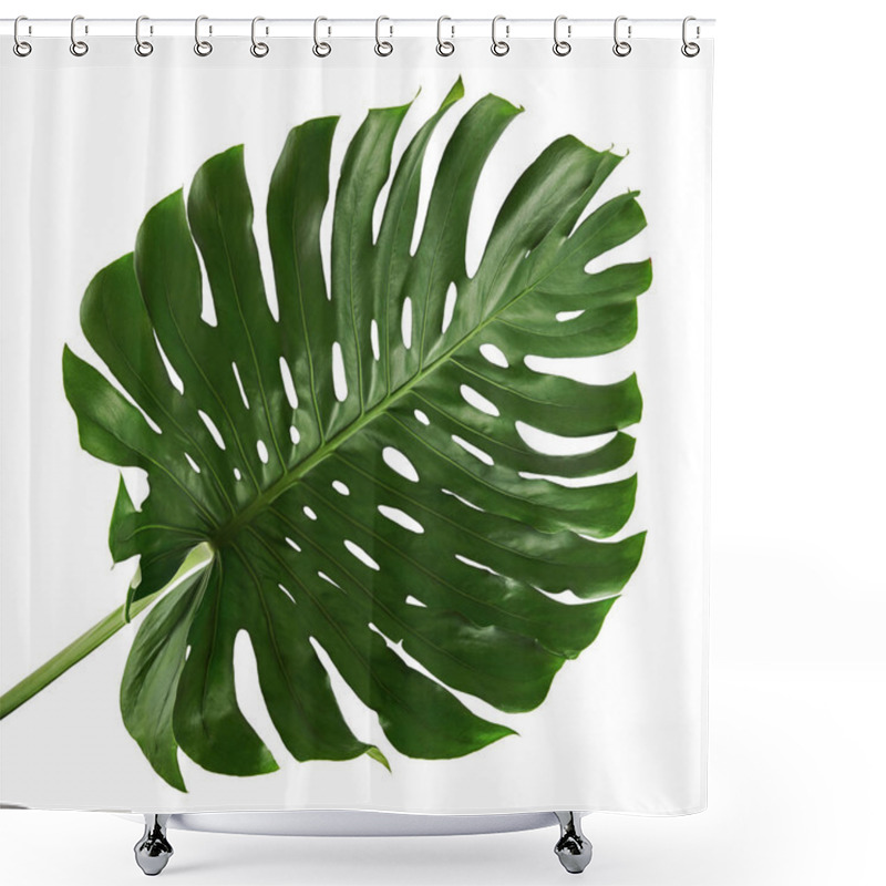 Personality  Monstera Deliciosa Leaf Or Swiss Cheese Plant, Isolated On White Background, With Clipping Path Shower Curtains