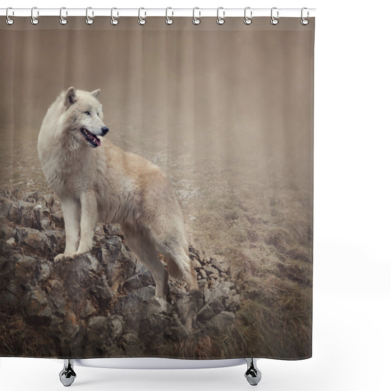 Personality  White Wolf Shower Curtains