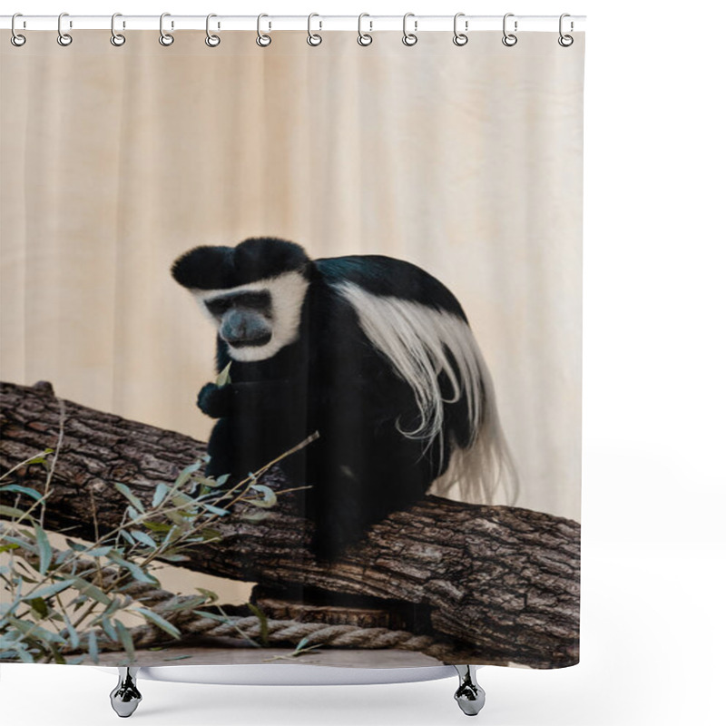 Personality  Selective Focus Of Black And White Monkey Sitting On Tree Near Green Plant  Shower Curtains