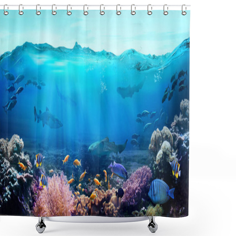 Personality  Tropical Coastal Waters. Underwater View Of The Coral Reef. Life In The Ocean.  Shower Curtains