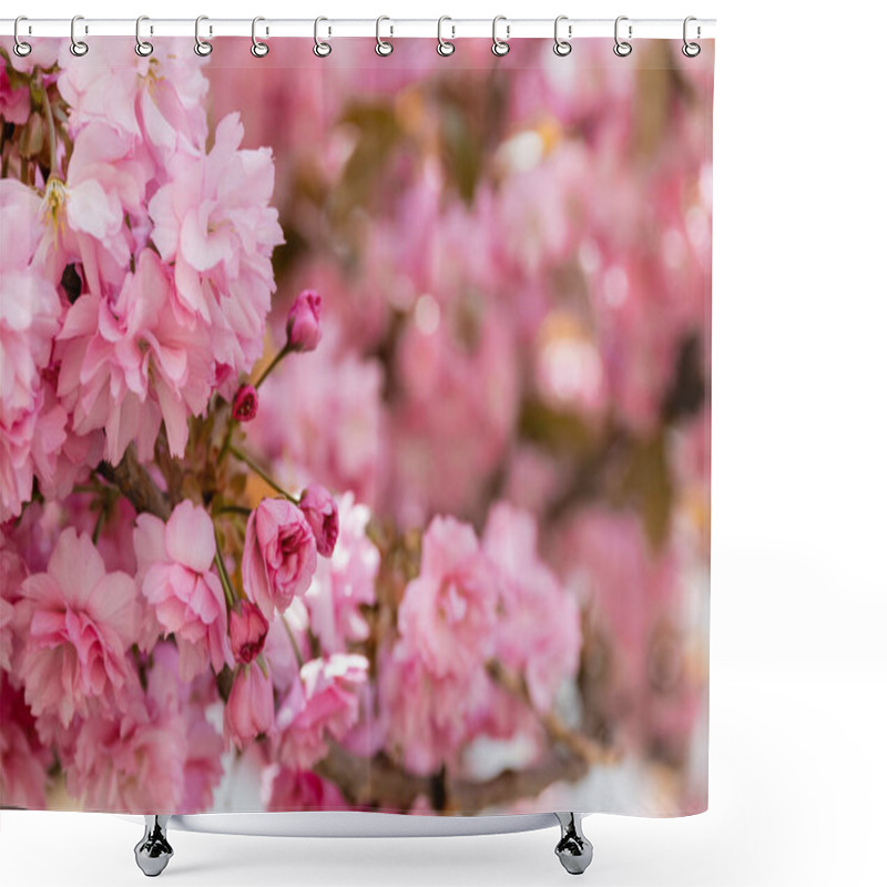 Personality  Close Up View Of Pink Flowers On Branches Of Japanese Cherry Tree Shower Curtains