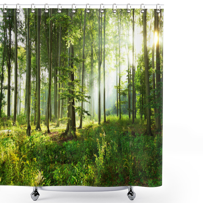 Personality  Sunny Morning In The Forest Shower Curtains