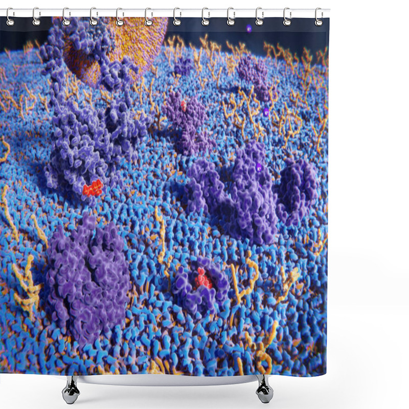 Personality  Membrane Proteins (violett), Glycolipids (yellow) And Several Ligands Of The Proteins Shower Curtains