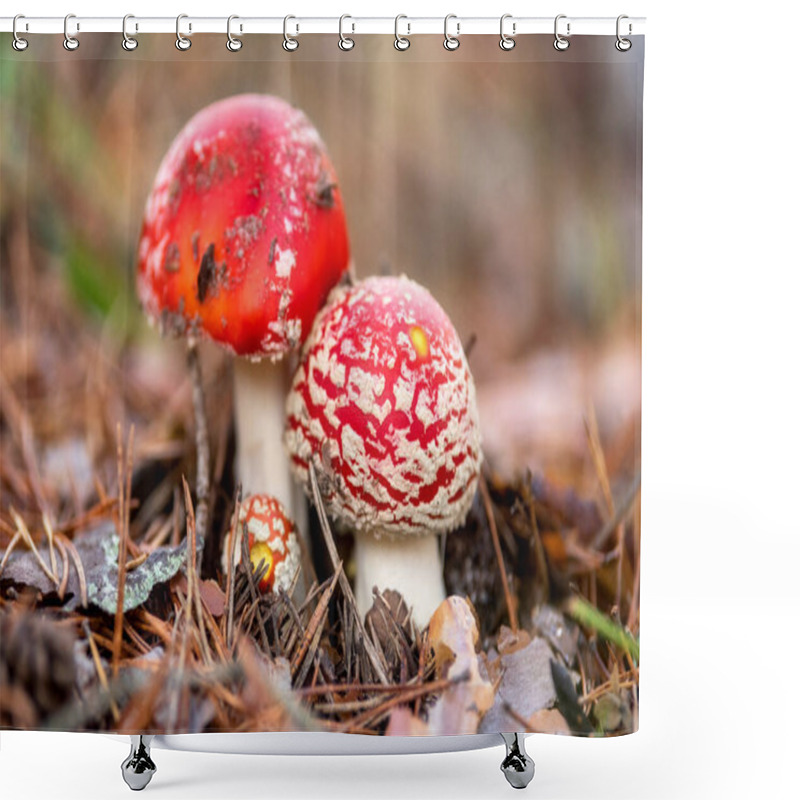 Personality  Amanita Muscaria, Poisonous Mushroom In Natural Forest Background. Shower Curtains