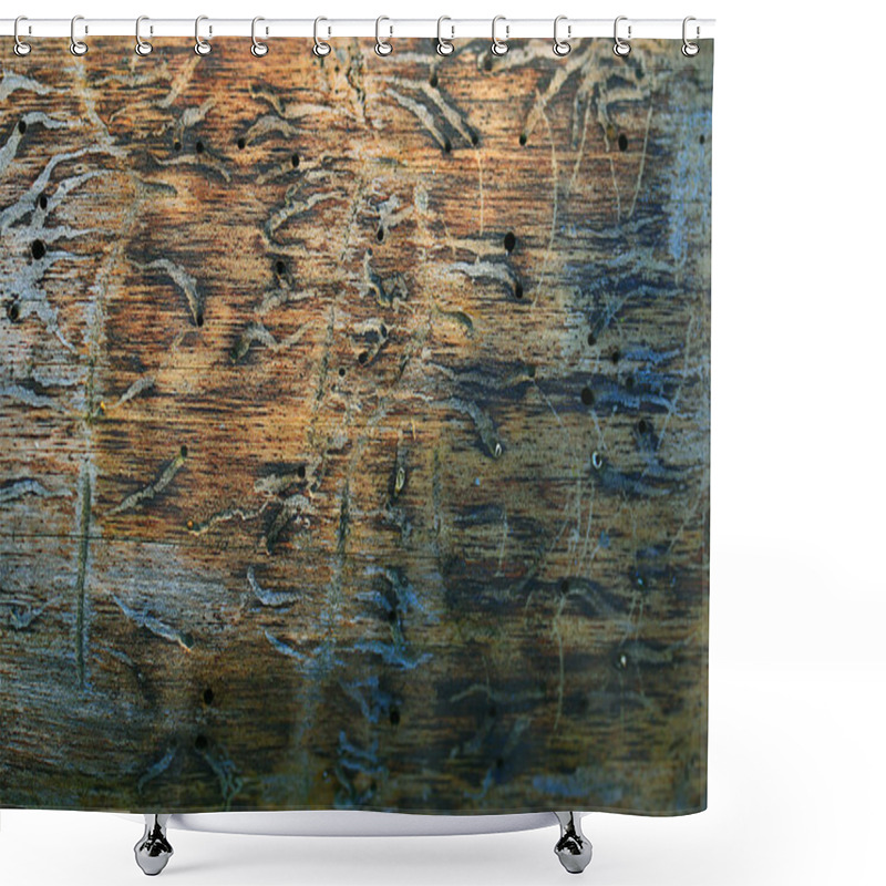 Personality  Wood Background Texture Shower Curtains