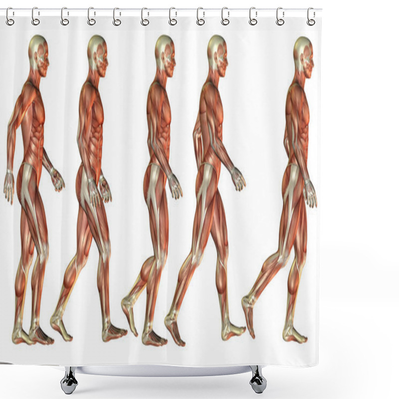 Personality  Running Male Muscle Study Shower Curtains