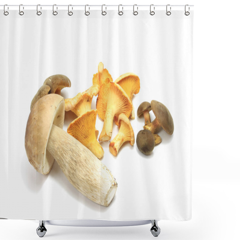 Personality  Forest Mushrooms Shower Curtains