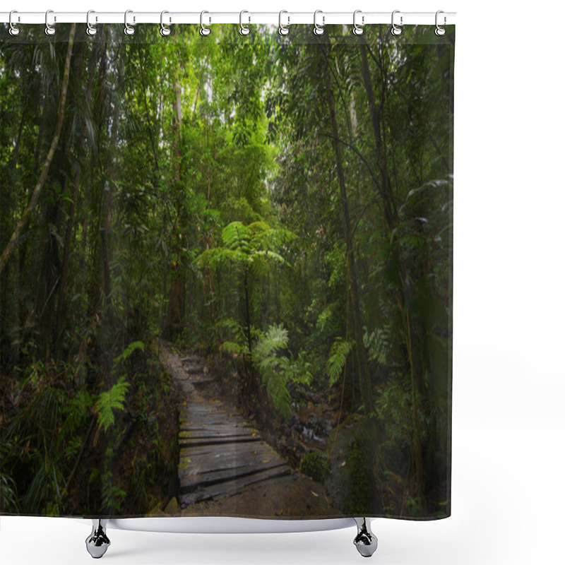 Personality  Tropical Rain Forest In Asia Shower Curtains