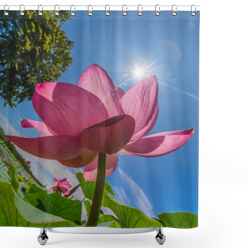 Personality  The Lake Of Lotus Flowers Shower Curtains