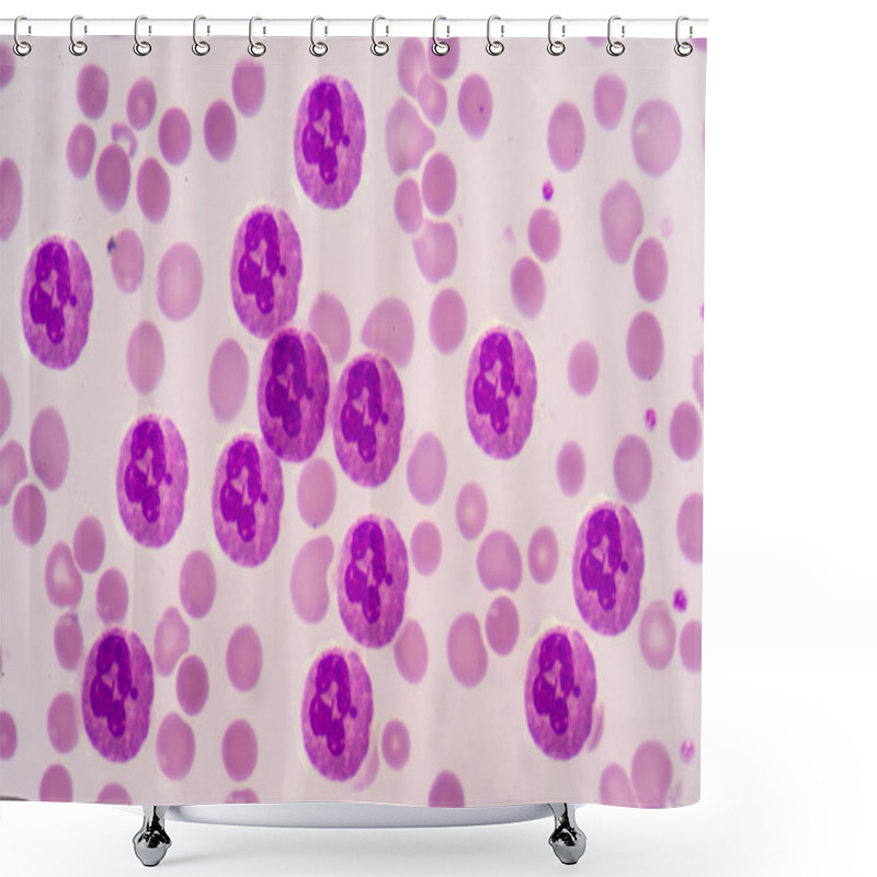 Personality  Neutrophils Blood Cells  Shower Curtains