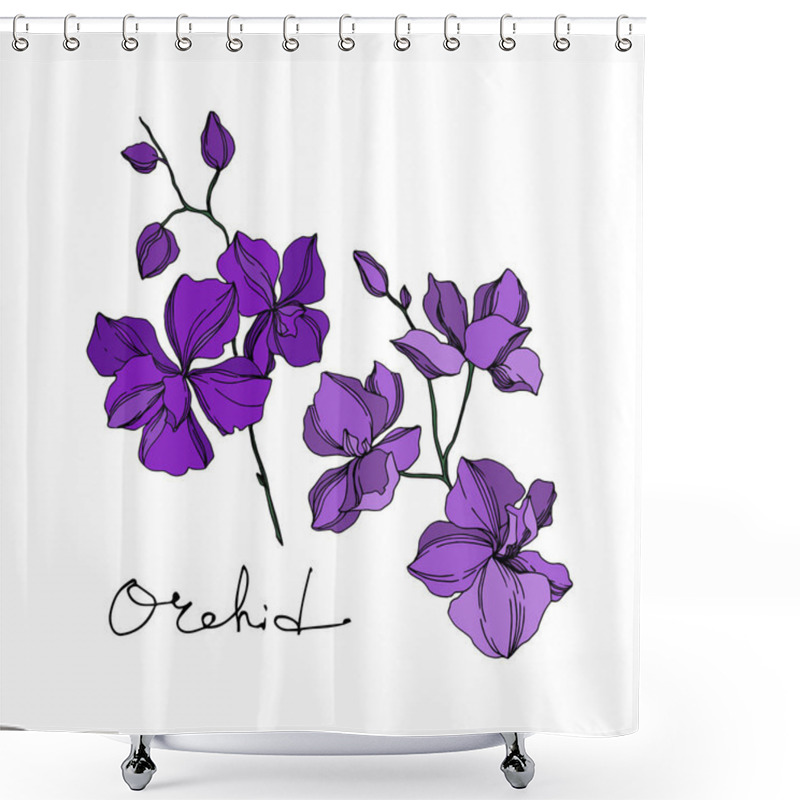 Personality  Vector Orchid Floral Botanical Flowers. Black And Purple Engraved Ink Art. Isolated Orchids Illustration Element. Shower Curtains