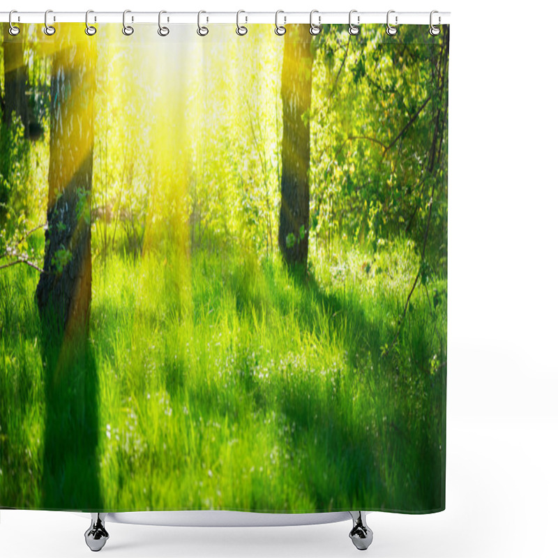 Personality  Spring Nature Scene. Beautiful Landscape. Park With Green Grass  Shower Curtains