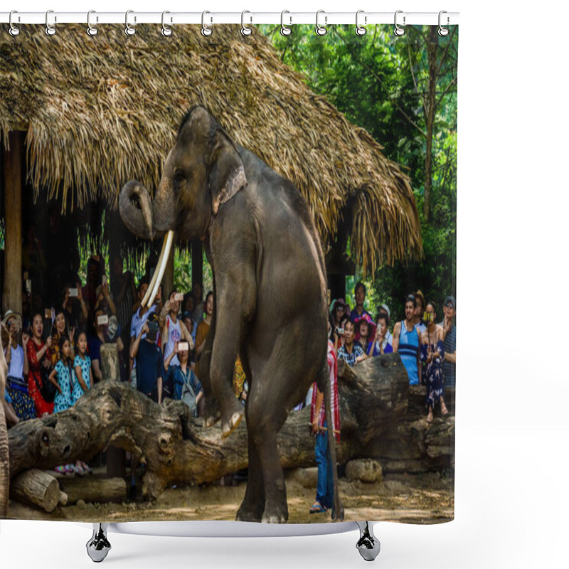 Personality  Thailand. Chiang Mai. Maetaman Elephant Camp Shower Curtains