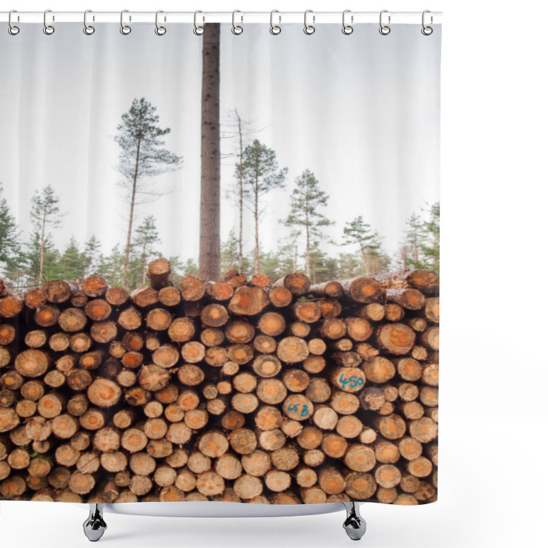 Personality  Freshly Cut Logs Shower Curtains