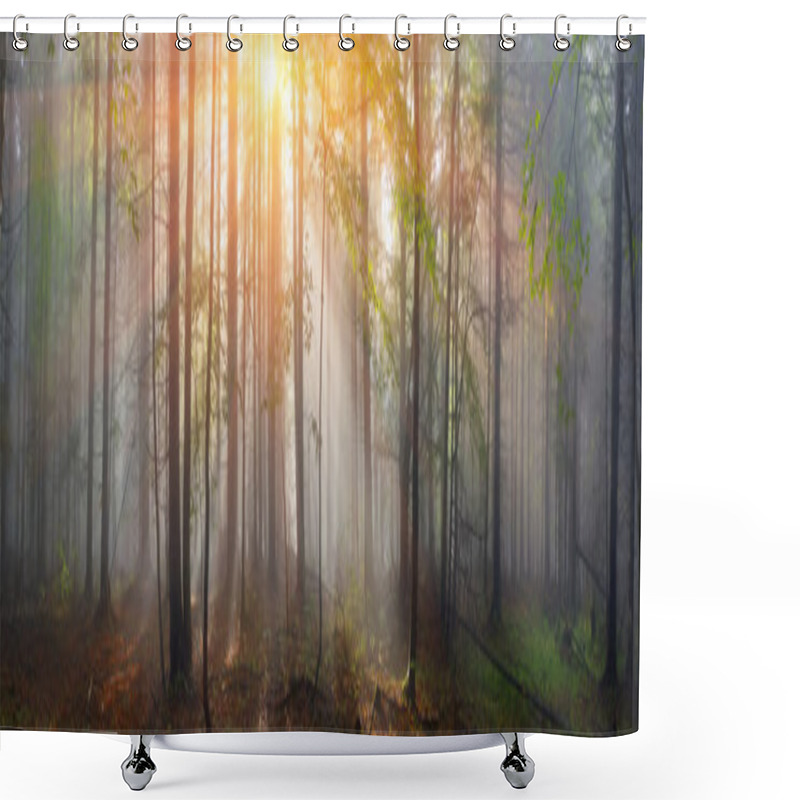 Personality  Carpathian Forest Trees Shower Curtains