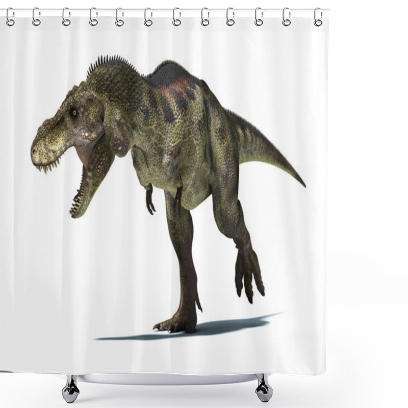 Personality  Tyrannosaurus Rex, Isolated On White Background With Clipping Pa Shower Curtains