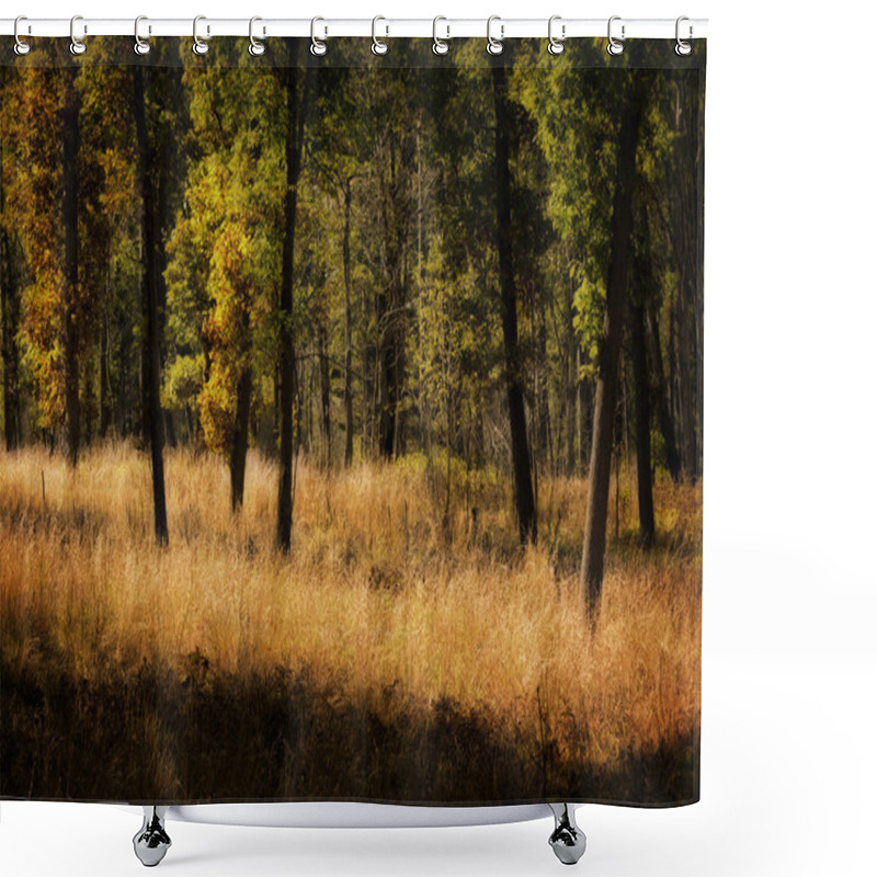 Personality  Fall Forest Background Shower Curtains