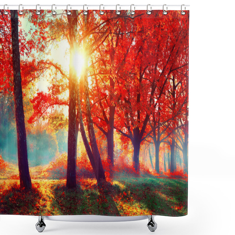 Personality  Autumn. Fall Nature Scene.  Shower Curtains