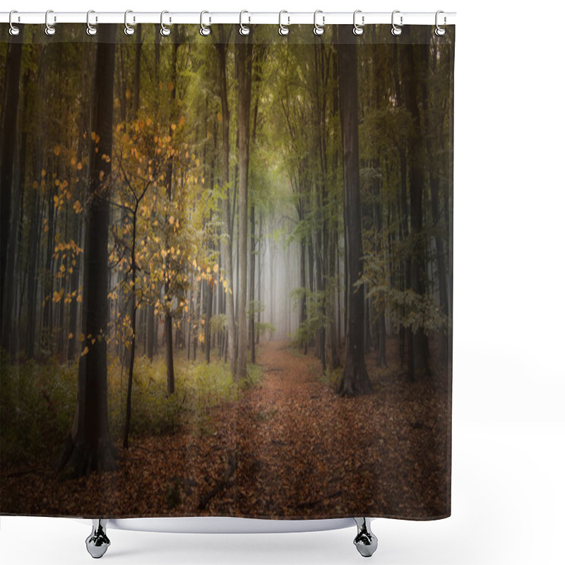 Personality  Autumn Light In Forest Shower Curtains