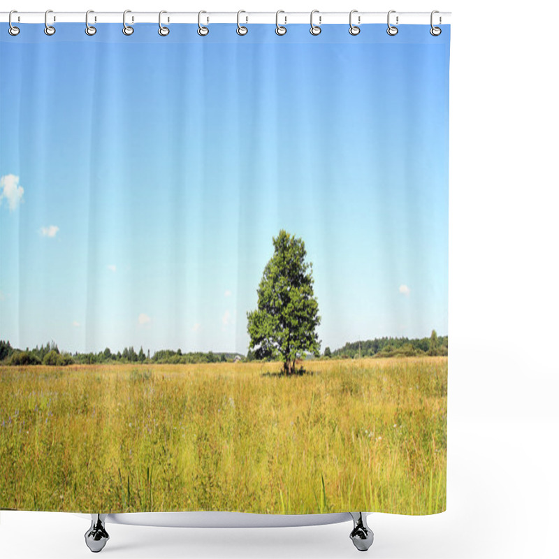 Personality  Oak Tree Shower Curtains