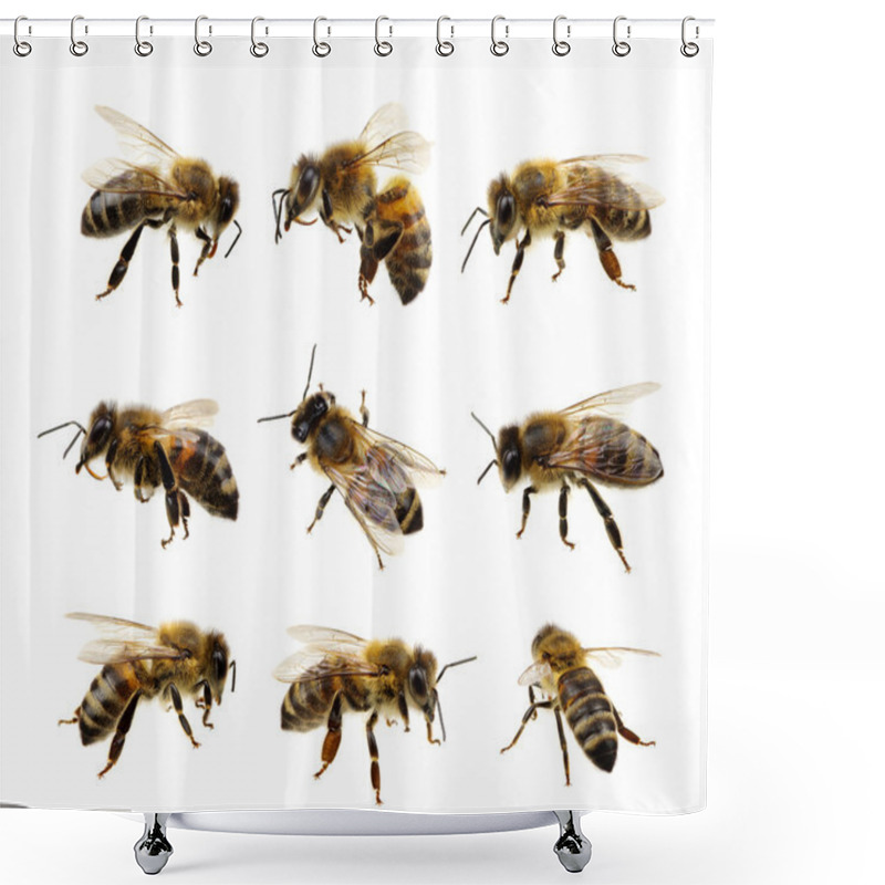 Personality  Bee On The White  Shower Curtains