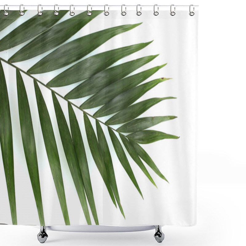 Personality  Beautiful Palm Leaf Isolated On White Shower Curtains