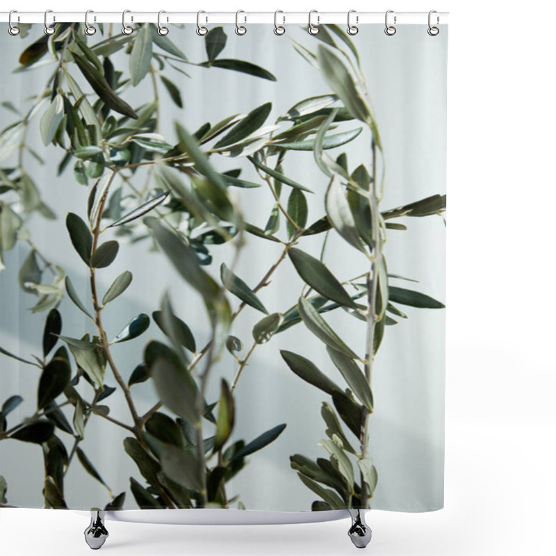 Personality  Closeup Image Of Olive Branches In Front Of White Wall With Shadow  Shower Curtains