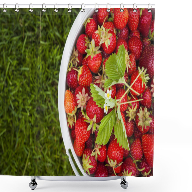 Personality  Fresh Strawberries In Garden Shower Curtains