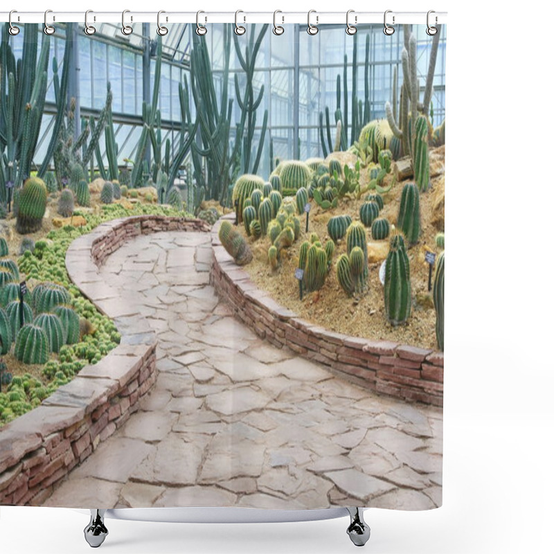 Personality  Walkway And Cactus Garden Shower Curtains