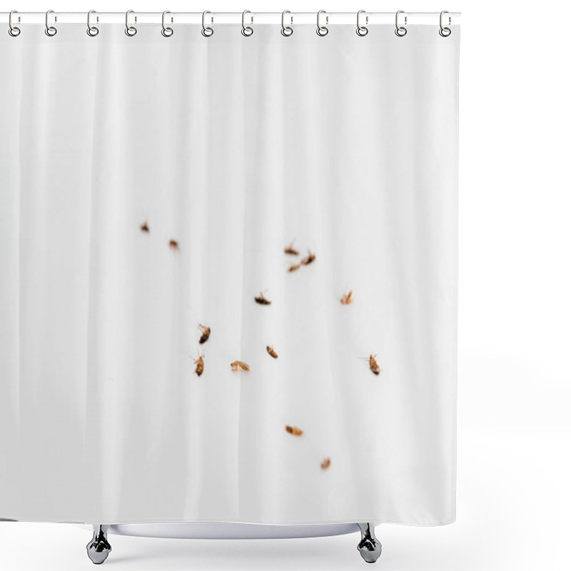 Personality  Selective Focus Of Dead Cockroaches Isolated On White  Shower Curtains