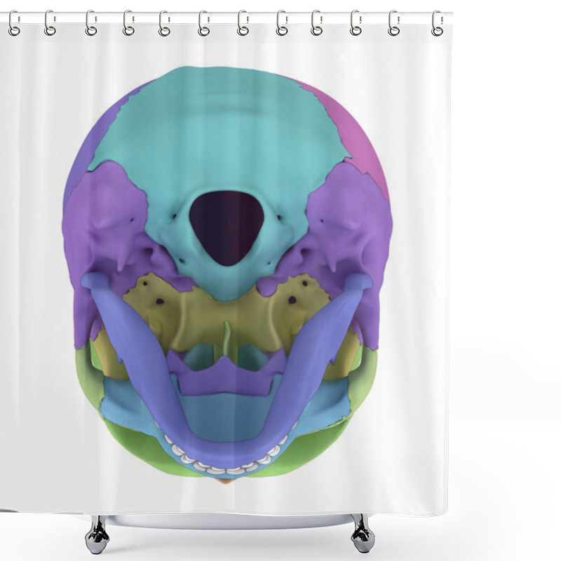 Personality  Human Skull Bones Anatomy Shower Curtains