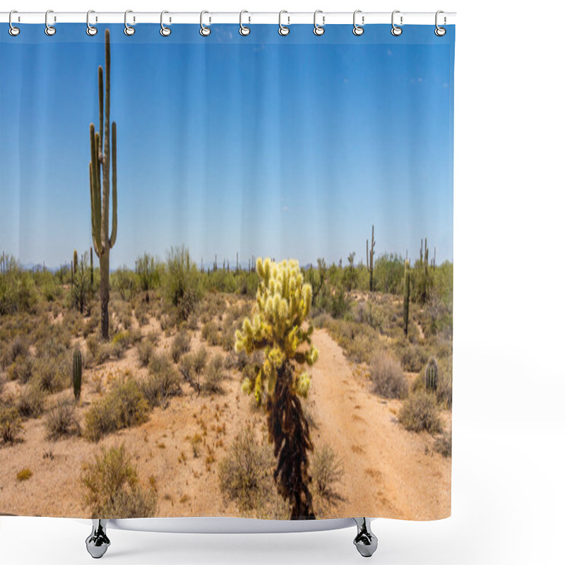 Personality  Saguaro And Cholla Cactus In The Arizona Desert Shower Curtains