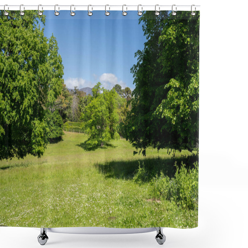 Personality  Trees In A Meadow On A Farm In A Country Estate On A Farm In Spring Shower Curtains