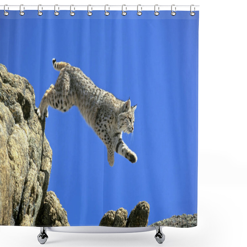 Personality  LYNX ROUX BOBCAT Lynx Rufus Shower Curtains