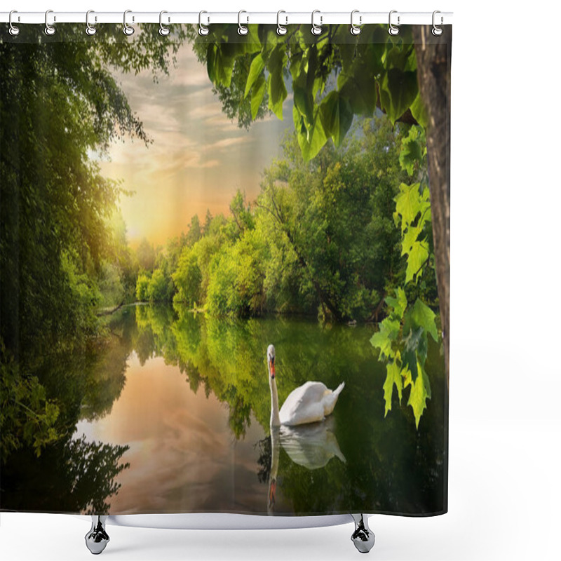 Personality  White Swan On A Pond Shower Curtains