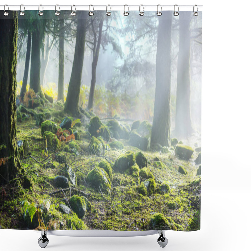 Personality  Rain Forest With Dense Vegetation Shower Curtains