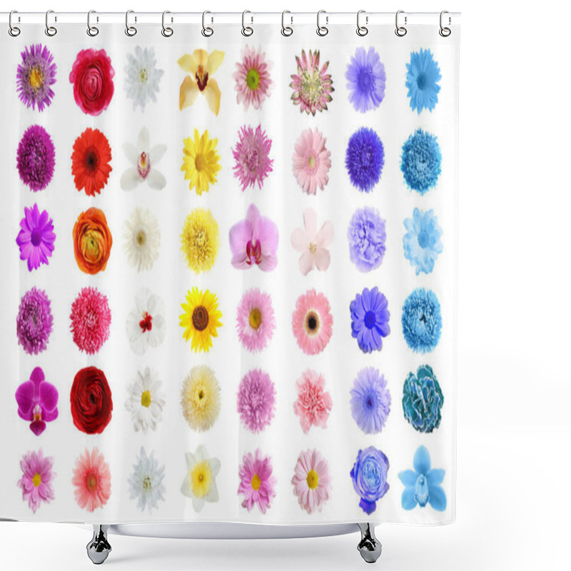 Personality  Set Of Different Beautiful Flowers On White Background Shower Curtains