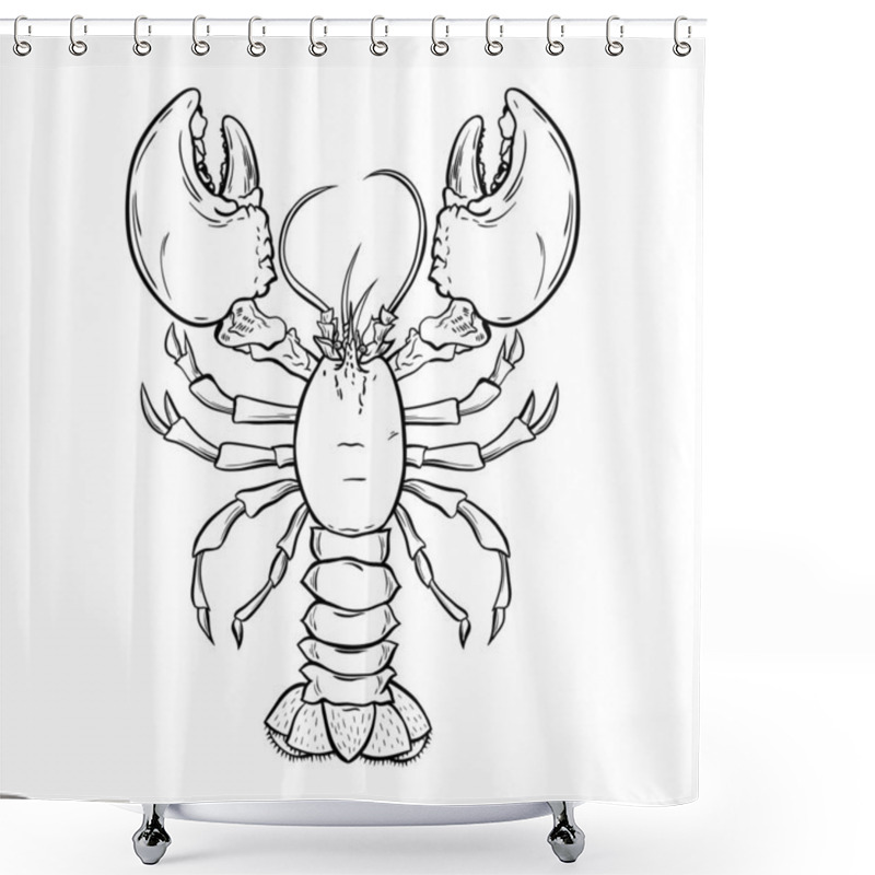 Personality  Crayfish, Lobster Hand Drawn Contour Illustration Shower Curtains