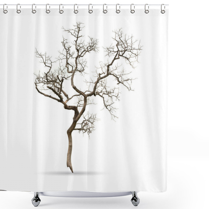 Personality  Dead Tree Isolated On The White Background Shower Curtains