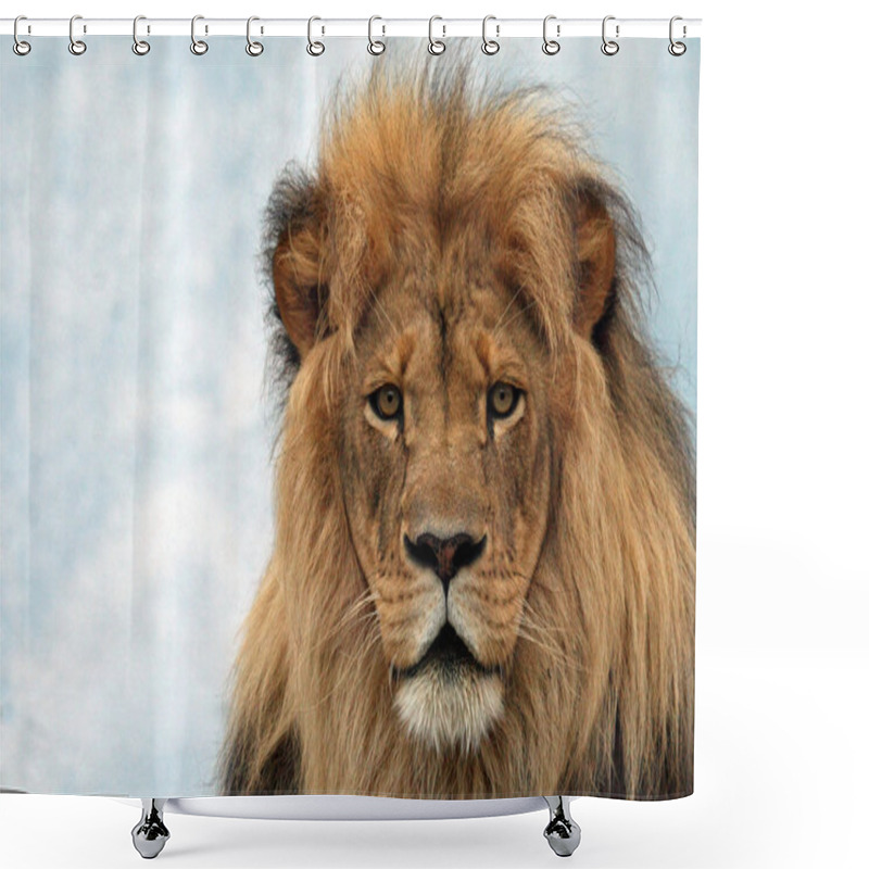 Personality  Male Lion Shower Curtains