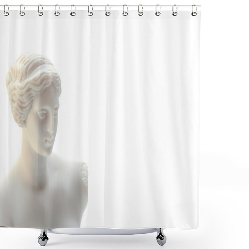 Personality  Venus Sculpture Shower Curtains