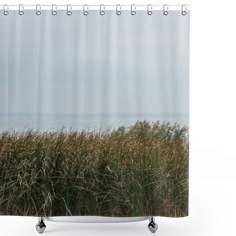 Personality  Grassweed Shower Curtains