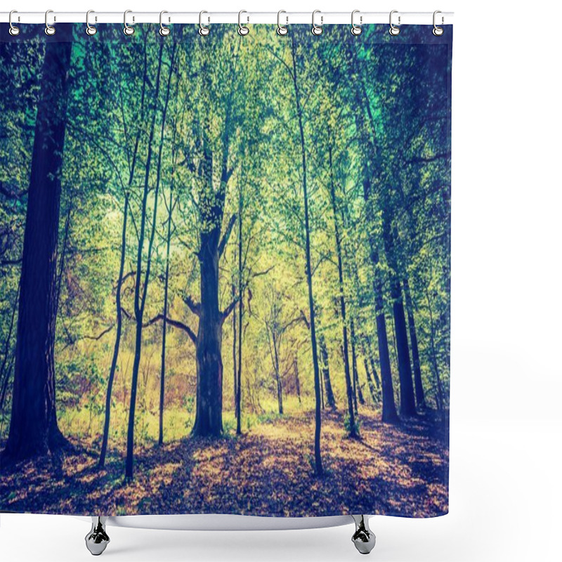 Personality  Green Springtime Forest Shower Curtains