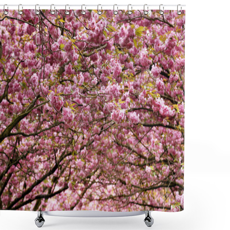 Personality  Cherry Blossom Shower Curtains