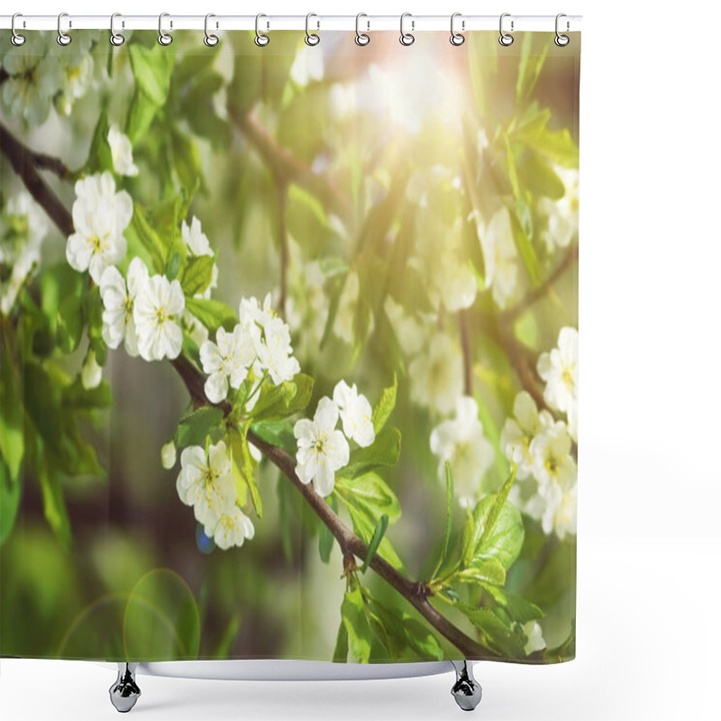 Personality  Plum Blossoms With Sunlight Shower Curtains