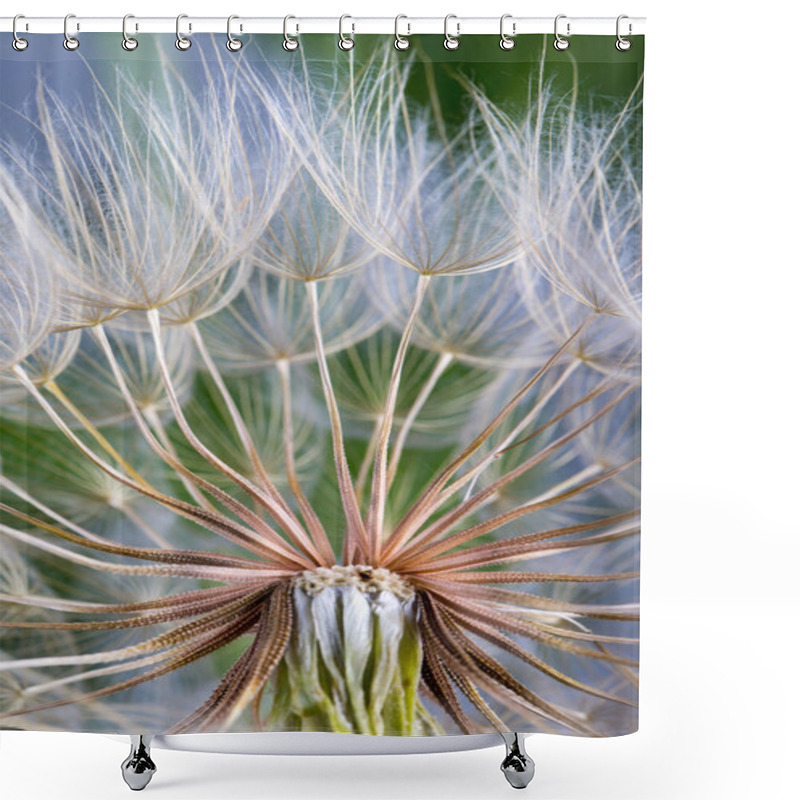 Personality   Macro Photo Of Dandelion Seeds With Water Drops Shower Curtains