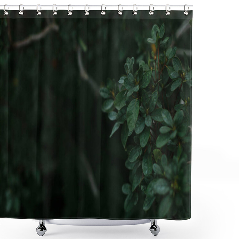 Personality  Dark Green Texture Of Leaves And Grass Shower Curtains