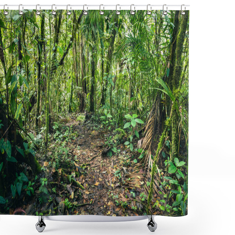 Personality  Ecuador Rainforest. Green Nature Hiking Trail Path In Tropical Jungle. Mindo Valley - Nambillo Cloud Forest, Ecuador, Andes. South America. Shower Curtains