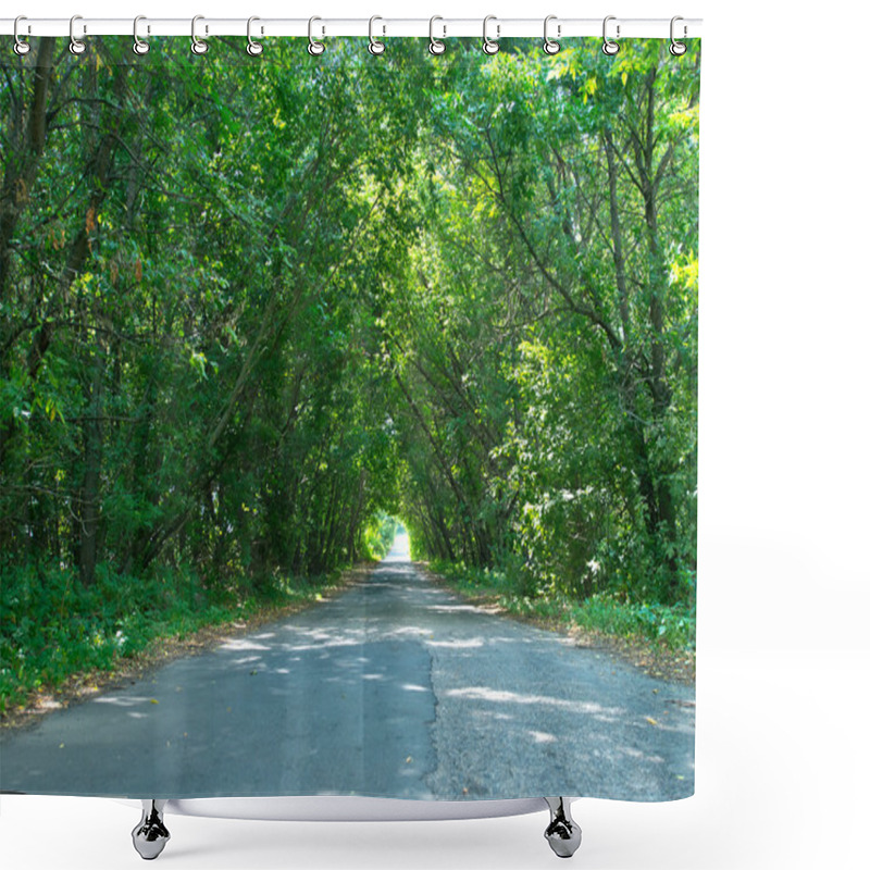 Personality  Road And Summer Trees Shower Curtains