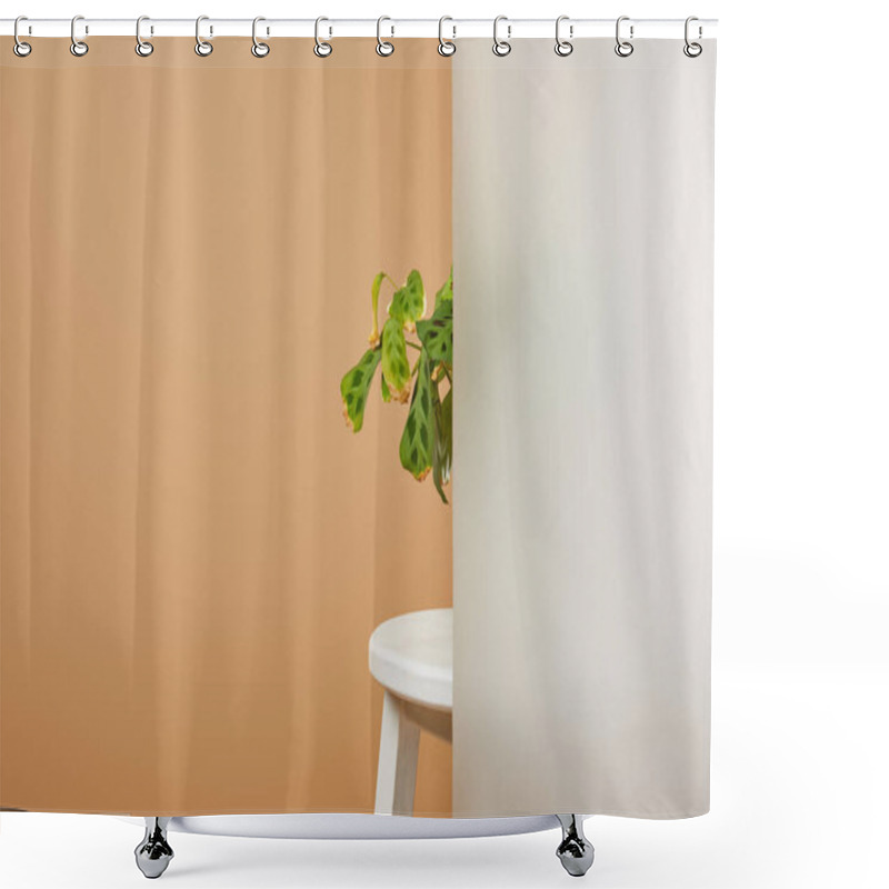 Personality  Green Leaves Of Plane On White Stool Behind Glass Isolated On Beige Shower Curtains